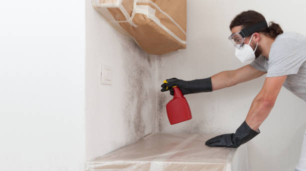 Professional Mold Remediation technician working in Ridgefield, NJ